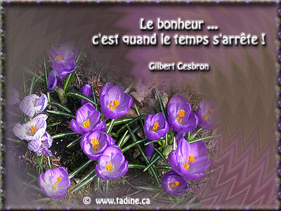 Bonne journée